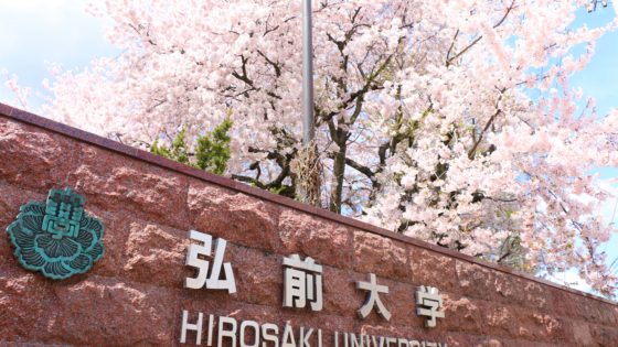 弘前大学の桜2020