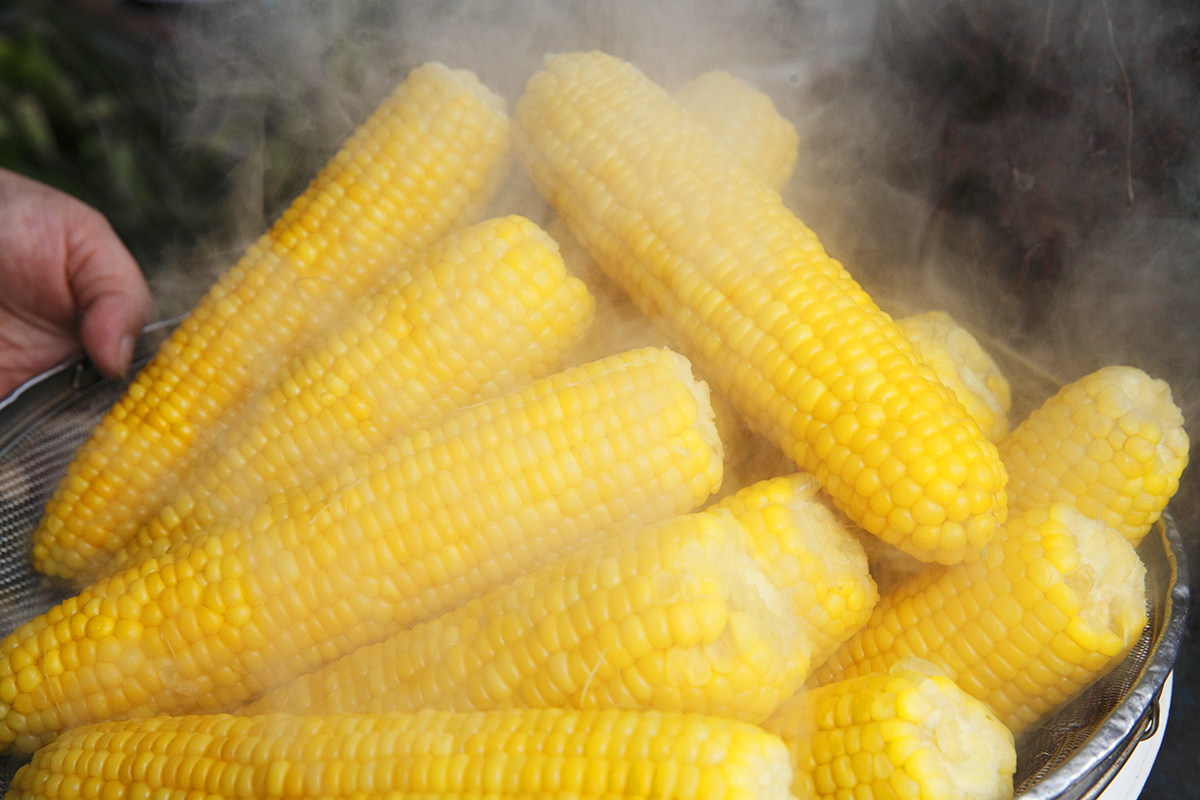 岩木山のだけきみ