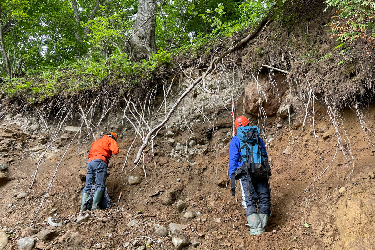 がけ崩れの調査の様子