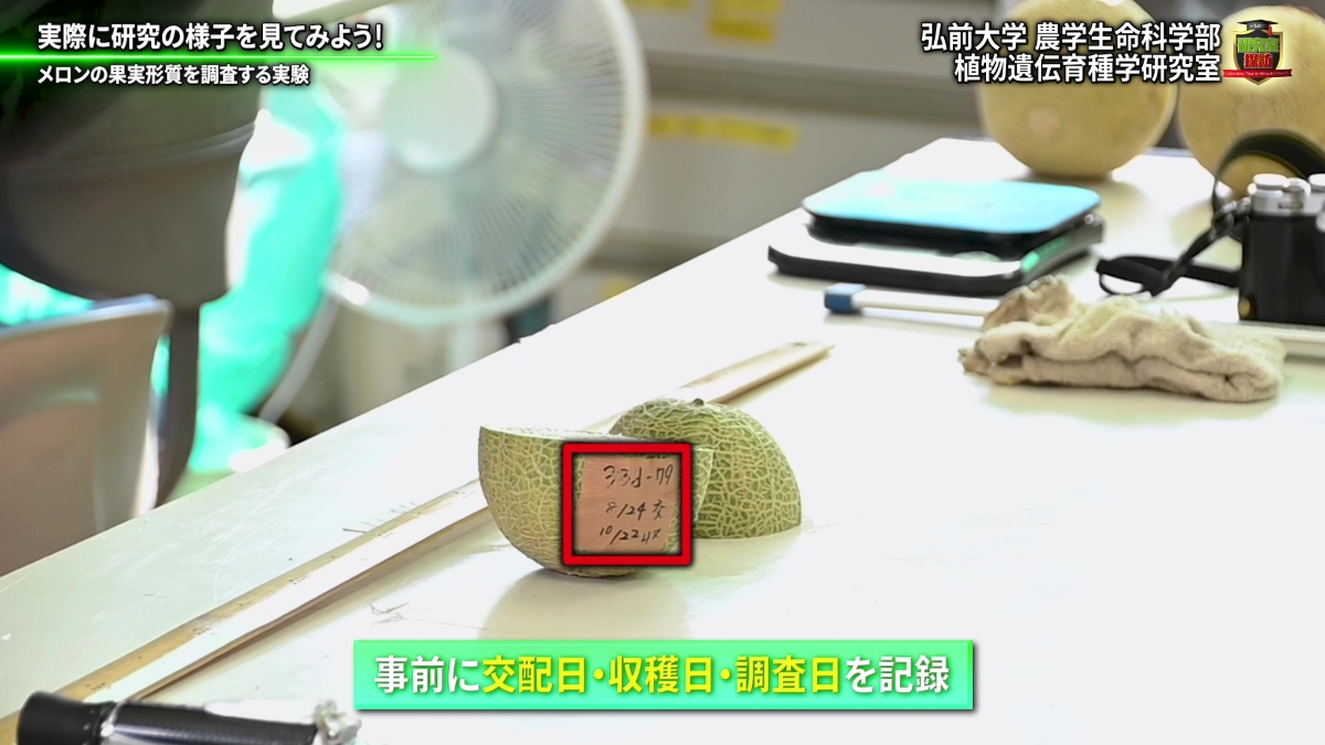 基本情報の記録