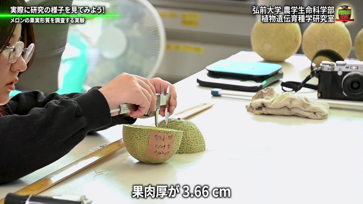厚さ計測