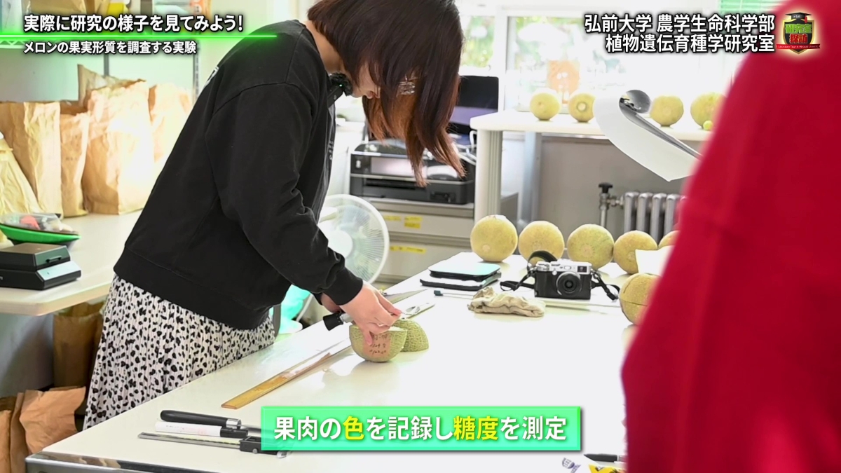 色を記録