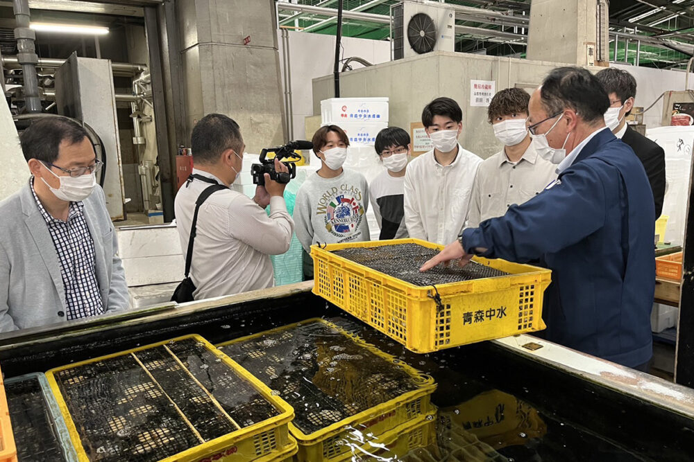 卸売市場視察の様子