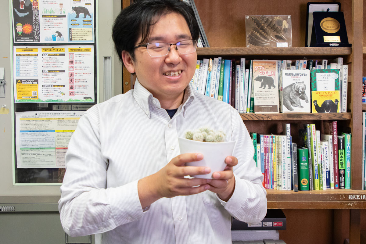 石川県で暮らすときから育てているサボテン